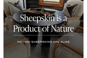 Ask the Experts: Why Do Sheepskin Have Color Variations