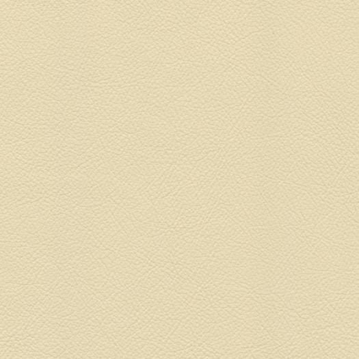 Avion Cotton