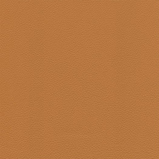 Avion British Tan