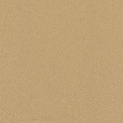 Avion Wheat