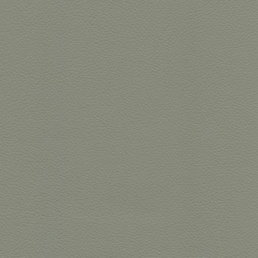 Avion Sandstone