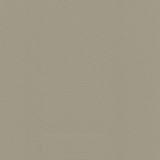 Avion Antler