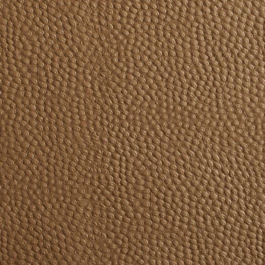 Asian Ostrich Impress Pattern