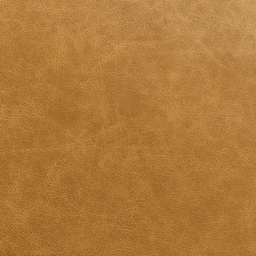 Bellissimo Brioche