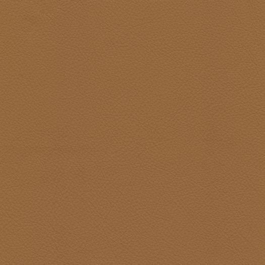 C603 Chatham Camel