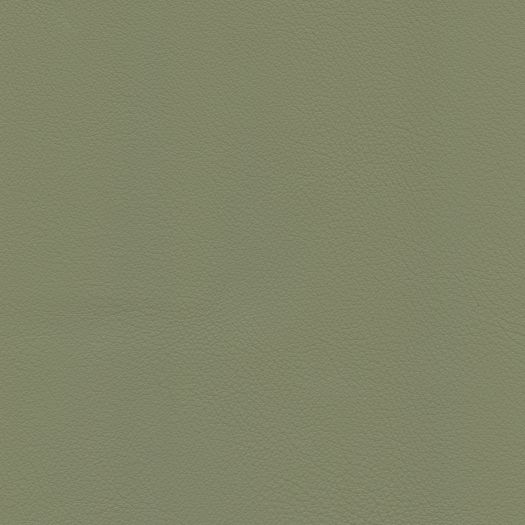 C606 Chatham Gray Sage