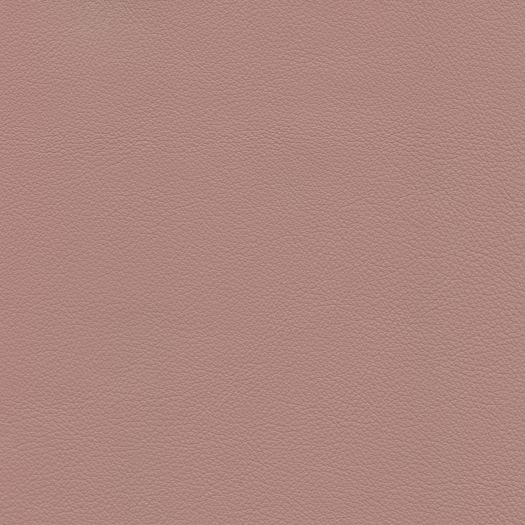 C636 Chatham Wild Orchid