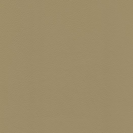 C648 Chatham Chino