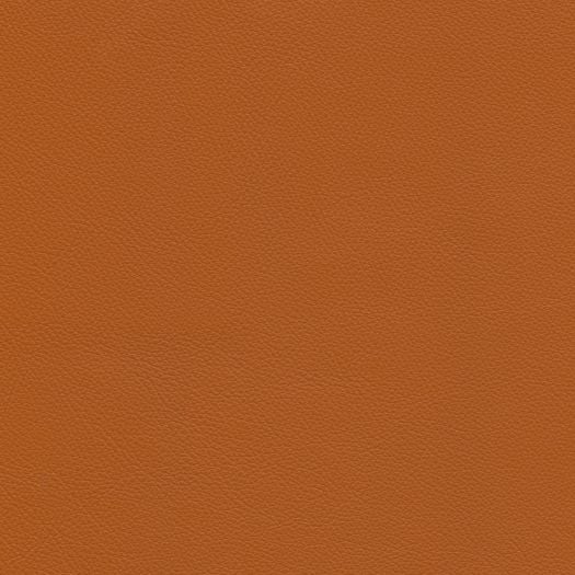 C658 Chatham Pumpkin