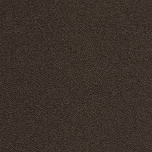 C667 Chatham Cacao