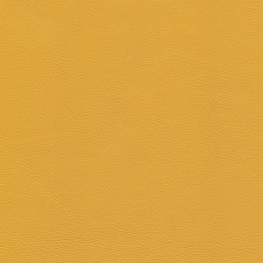 C685 Chatham Marigold