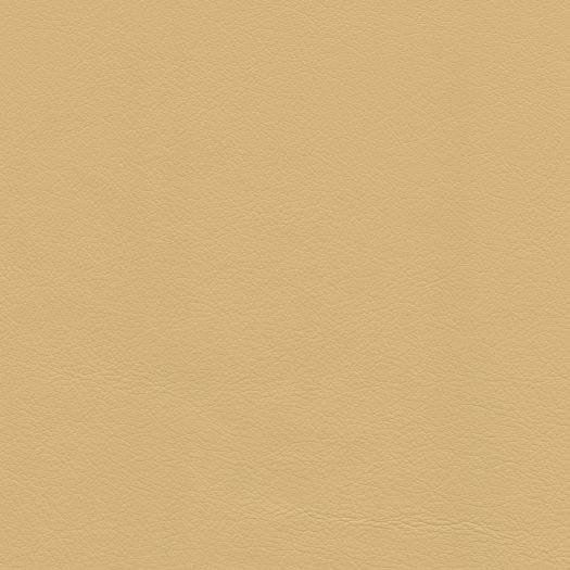 Caressa Creme