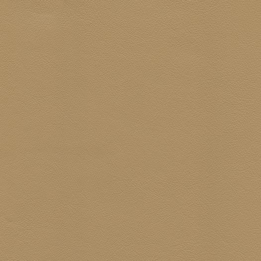 Caressa Parchment