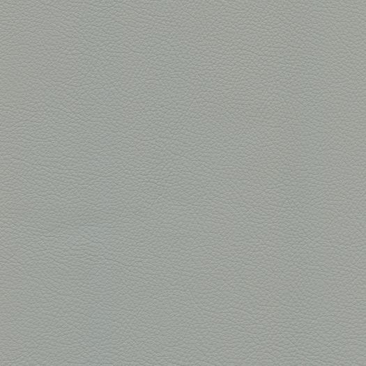 Caressa Cool Gray