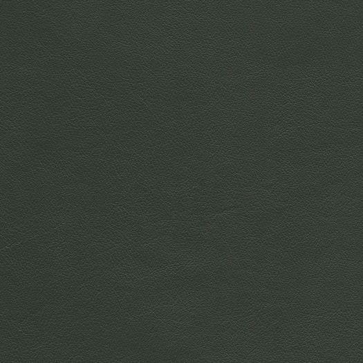 Caressa Seagreen