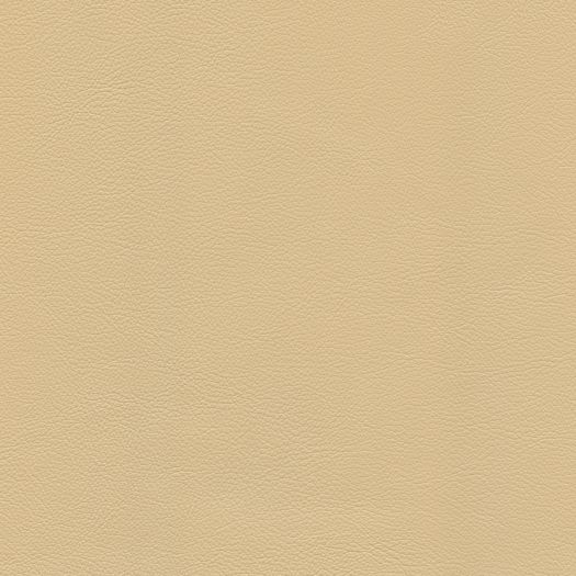 Caressa Silk