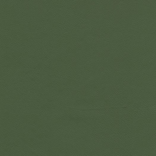 Caressa Rainforest