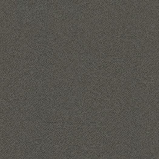 CA143 Cadence Shale