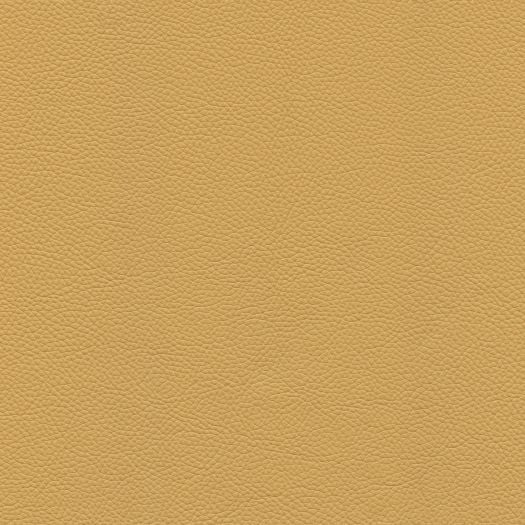 CA190 Cadence Buckwheat
