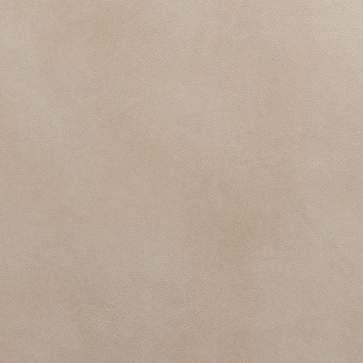 Sample - 4X4 - Cherish Plume