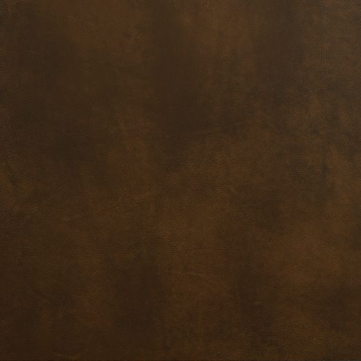 Sample - 4X4 - Cherish Burnt Umber