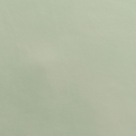 Sample - 4X4 - Cherish Celadon