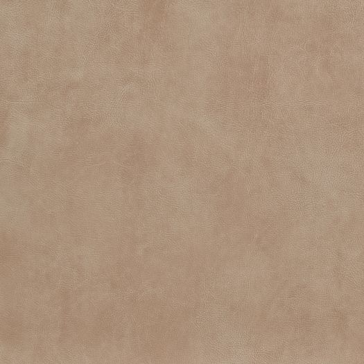 Sample - 4X4 - Cherish Bermuda