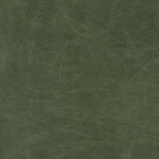 DIS9020 Distressed Verde