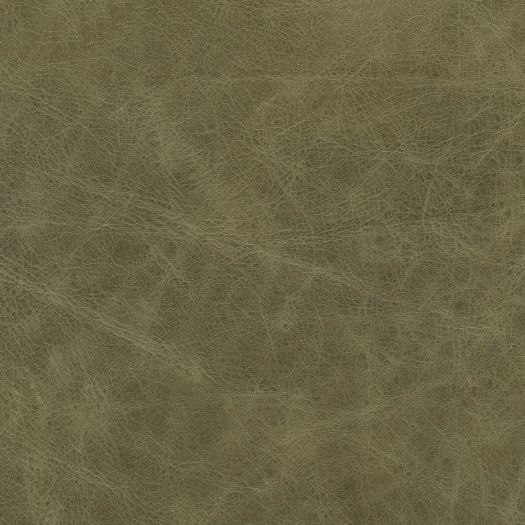DIS9075 Distressed Fennel