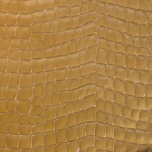 DMG4522 DiModa Gatora Oro