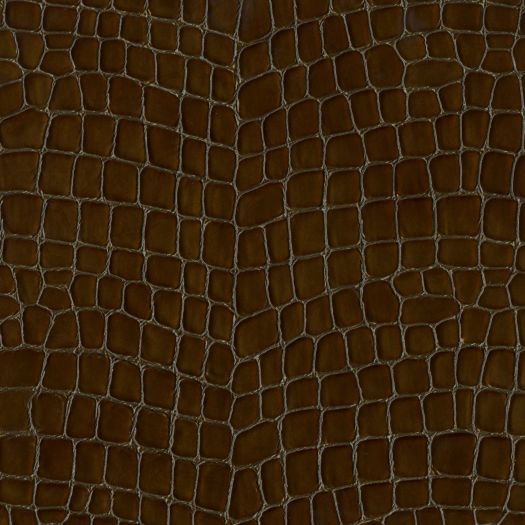 DMG4591 DiModa Gatora Mokka