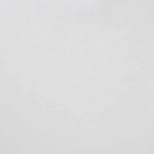FL6084 Flight Snowfinch
