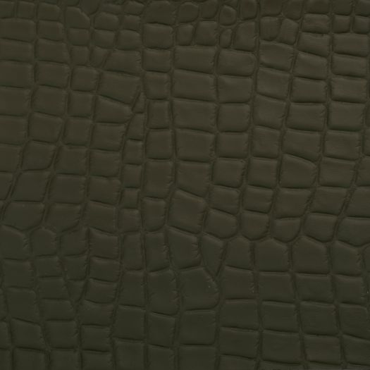 Florida Gator Impress Pattern