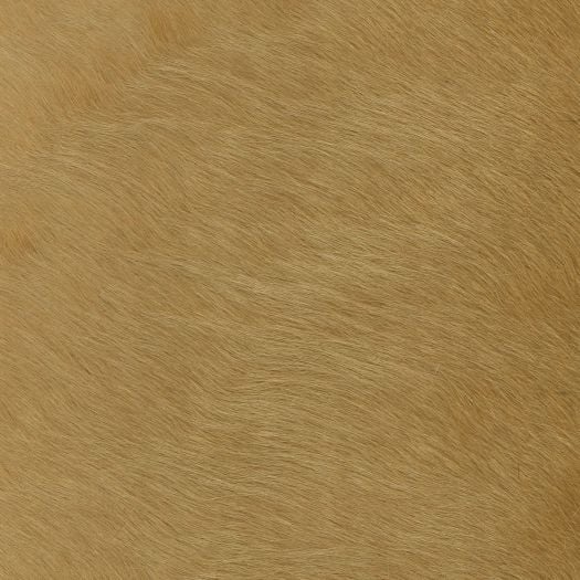 HH3028 Capelli Specialty Spiga