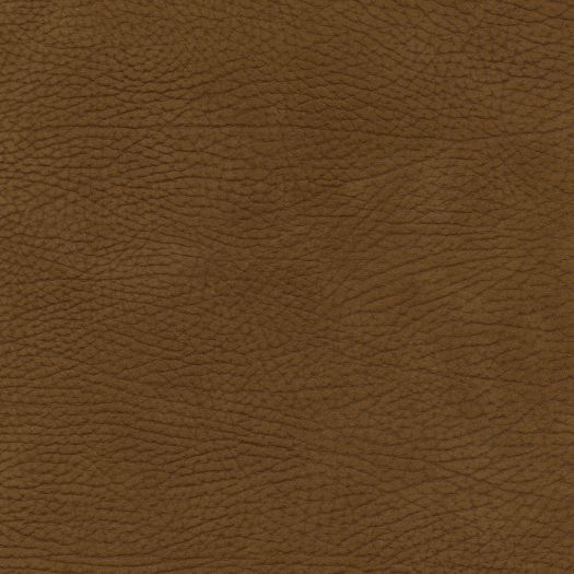 K428 Kenya Clove