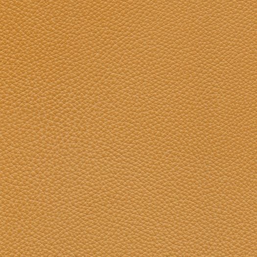 M8009 Mystique Biscotti