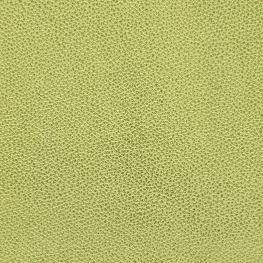 M8010 Mystique Key Lime