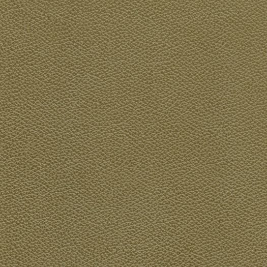 M8059 Mystique Prairie