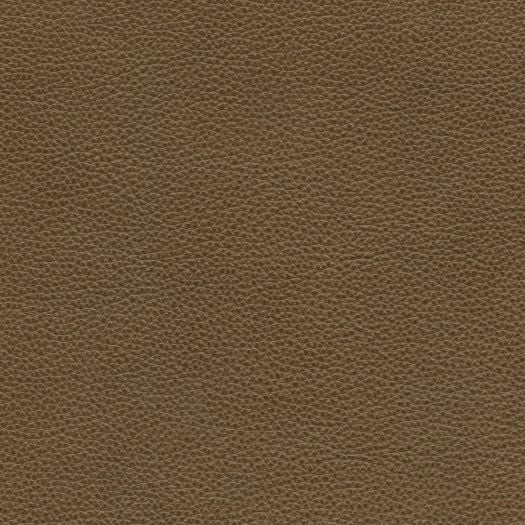M8088 Mystique Bronze