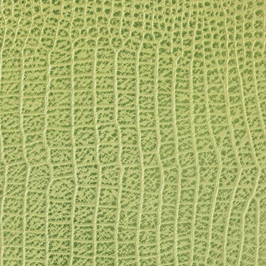MC8510 Mystique Croco Key Lime