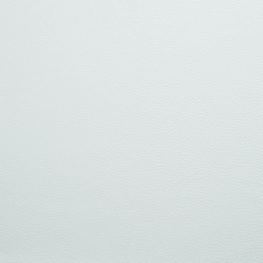 NC5033 Newport Club Clearwater