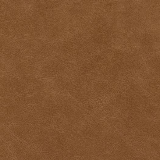 R9505 Resilience Tiger Eye