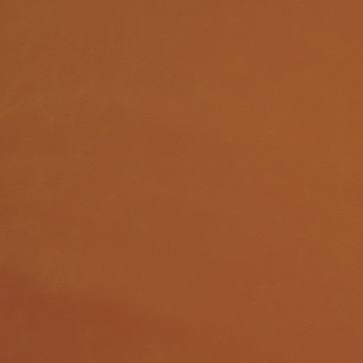 Resilience Carnelian