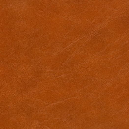 R9530 Resilience Carnelian