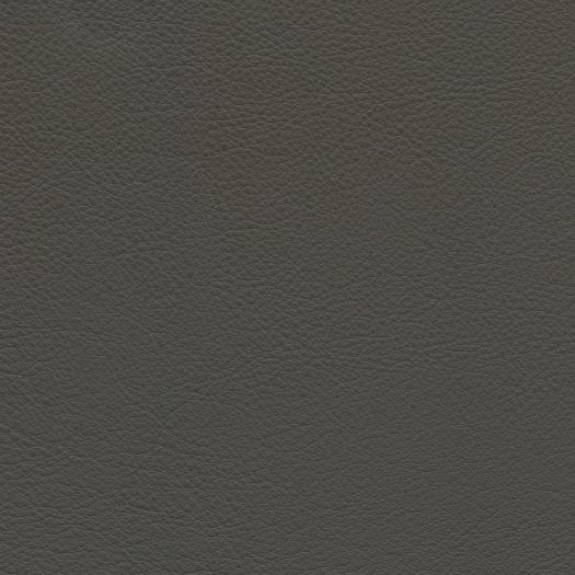 S770 Sierrasoft Iron