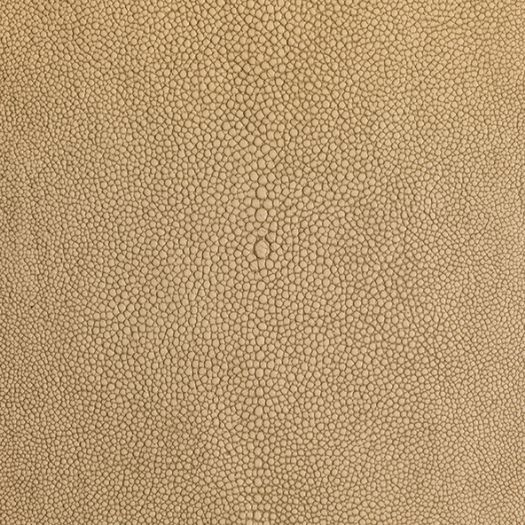 Shagarrett Sandbar