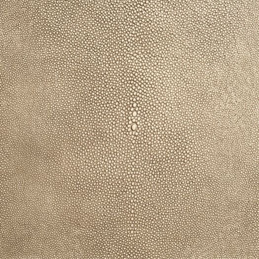 SH4022 Shagarrett Manta