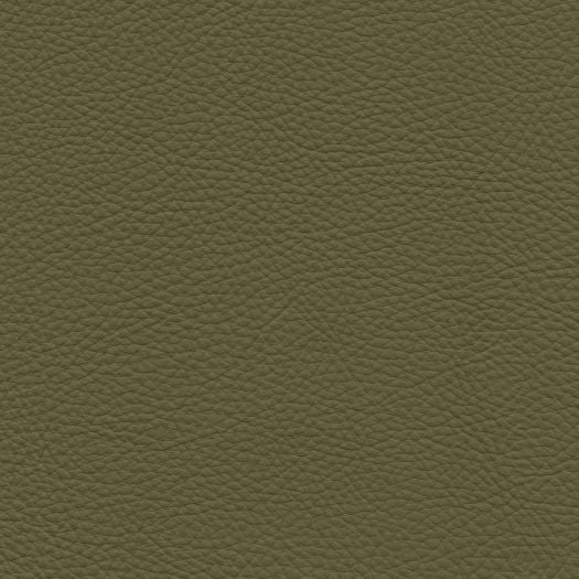TO1437 Torino Tarragon