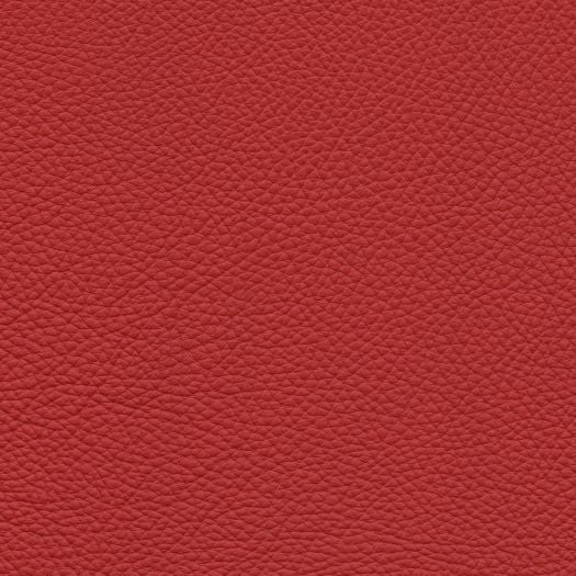 TO1455 Torino Salsa