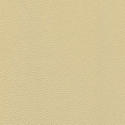 TO1463 Torino Birch